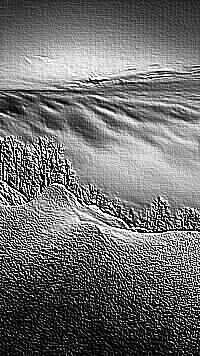 Skamielina