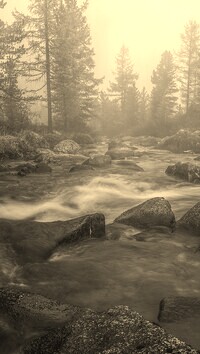 Sepia