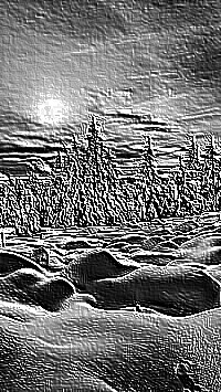Skamielina