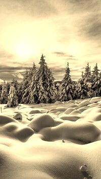 Szary + Sepia
