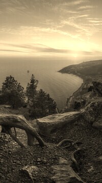 Sepia
