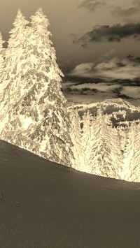 Sepia + Negatyw