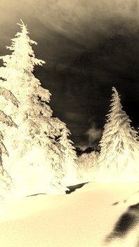 Sepia + Negatyw
