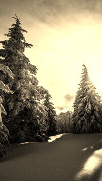Szary + Sepia