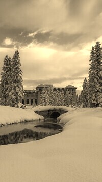 Szary + Sepia