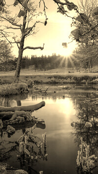 Sepia