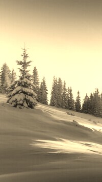 Szary + Sepia