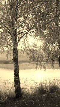 Szary + Sepia