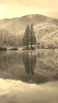 Sepia