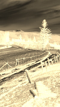 Sepia + Negatyw