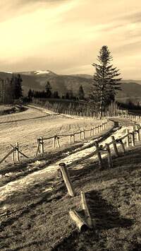 Szary + Sepia