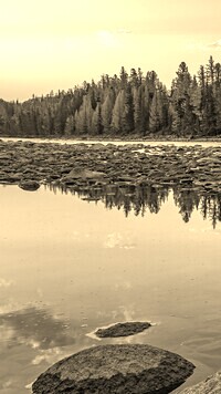 Szary + Sepia