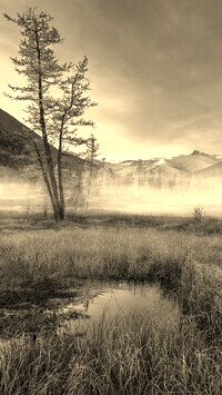 Sepia
