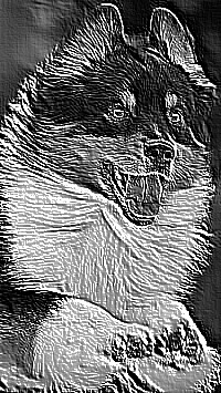 Skamielina