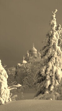 Szary + Sepia
