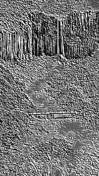 Skamielina