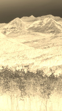 Sepia + Negatyw