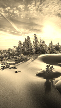 Sepia