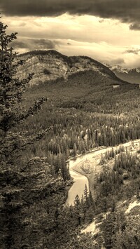 Sepia