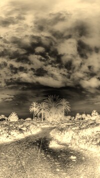 Sepia + Negatyw