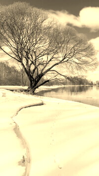 Sepia