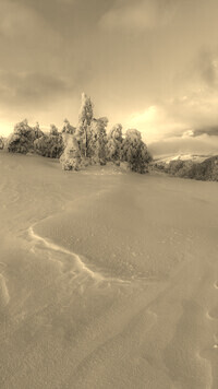 Sepia