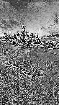 Skamielina