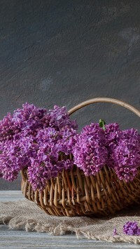 Oryginalny obrazek
