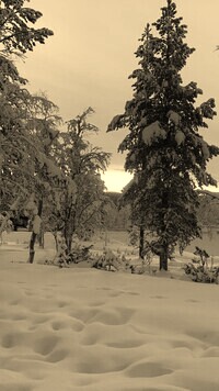 Sepia