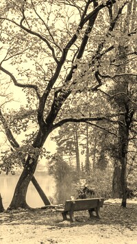 Szary + Sepia