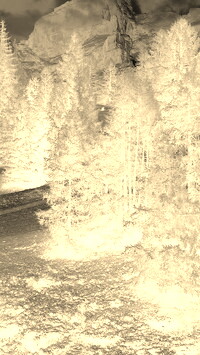 Sepia + Negatyw