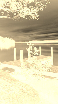 Sepia + Negatyw