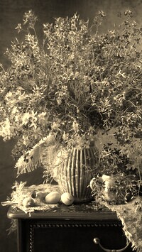 Szary + Sepia
