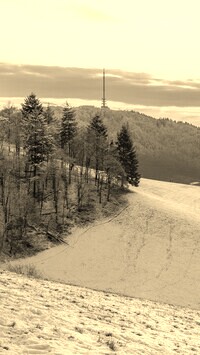 Szary + Sepia