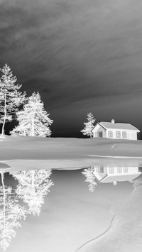 Szary + Negatyw