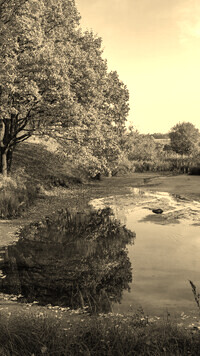 Szary + Sepia