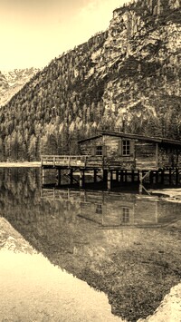 Szary + Sepia