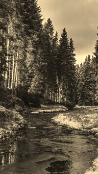 Szary + Sepia