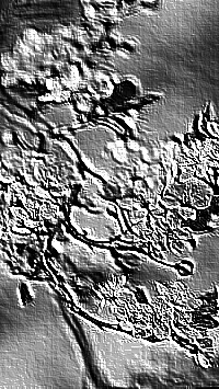 Skamielina
