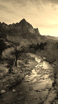 Szary + Sepia