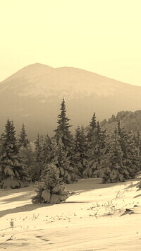 Szary + Sepia