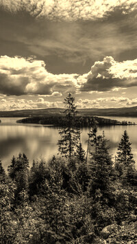 Sepia