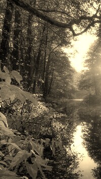 Szary + Sepia