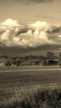 Szary + Sepia