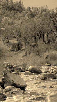 Sepia