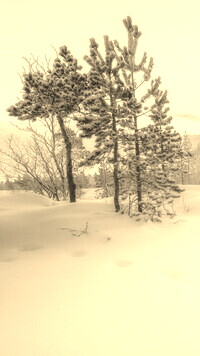 Sepia