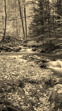 Sepia