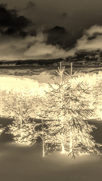 Sepia + Negatyw