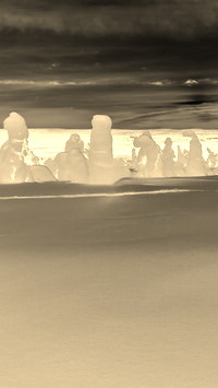 Sepia + Negatyw