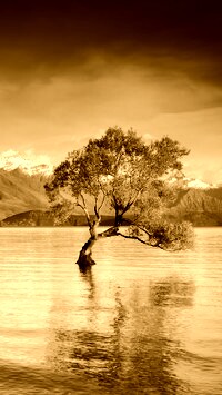 Sepia